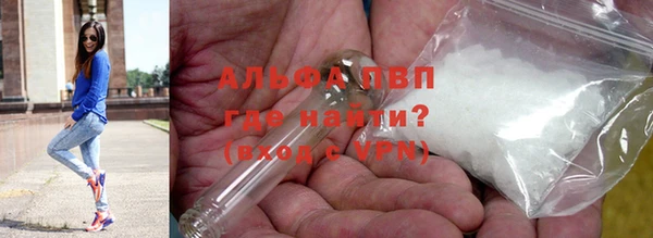 тгк Магас