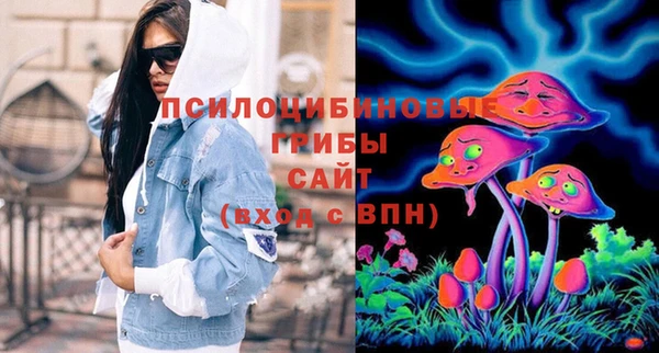 винт Рославль