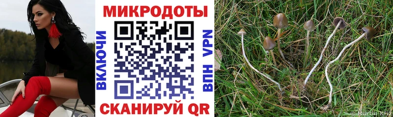 где можно купить   Усмань  Псилоцибиновые грибы Magic Shrooms 